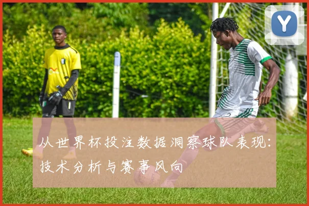 从世界杯投注数据洞察球队表现：技术分析与赛事风向